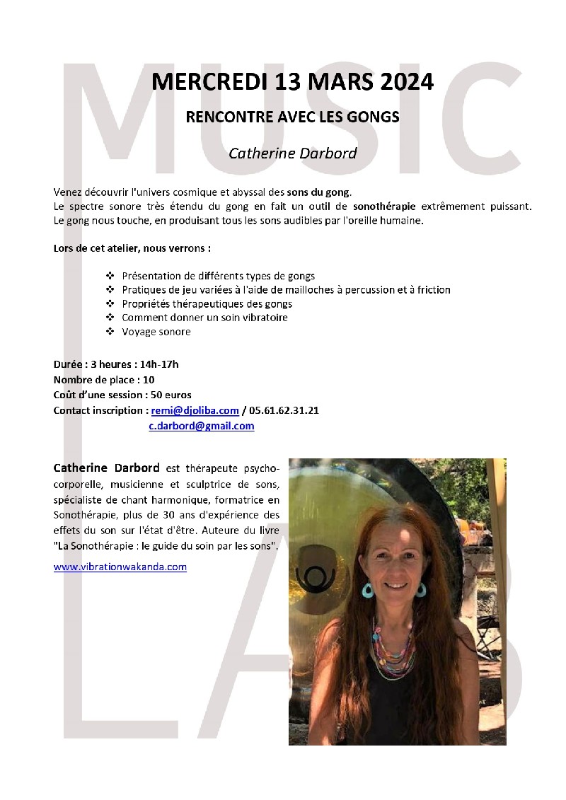 Rencontre avec les gongs