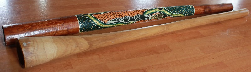 cours particuliers de Didgeridoo et de Guimbarde