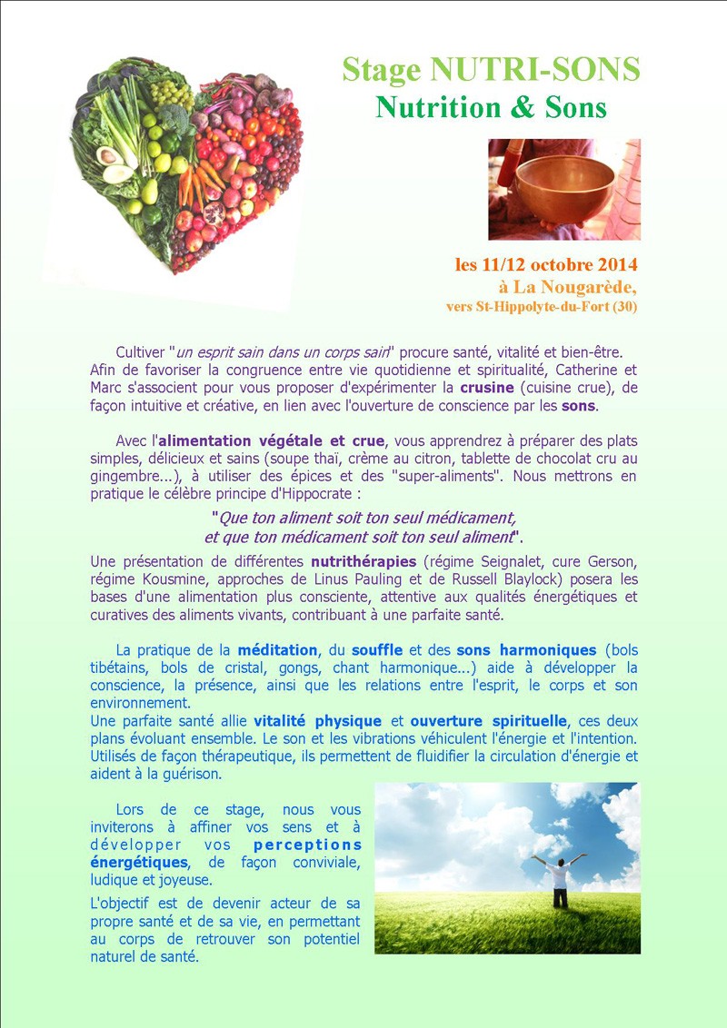 Stage Nutri-Sons : Nutrition et Sons 