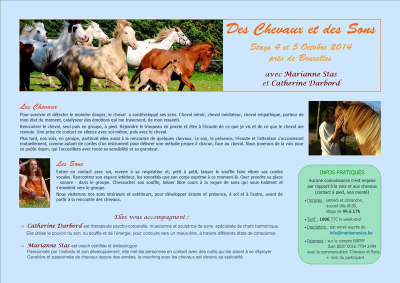 Stage Des Chevaux et des Sons