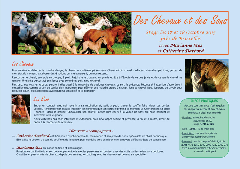 stage Des Chevaux et des Sons 